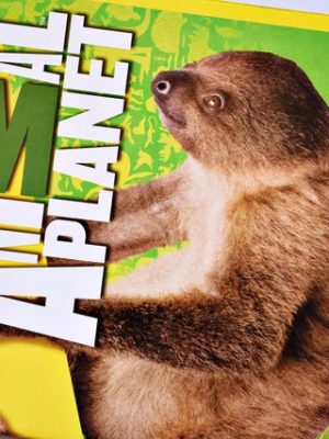 Animal Planet Records del mundo Animal (Panini, 2018): Álbum Vacío (Sin láminas)