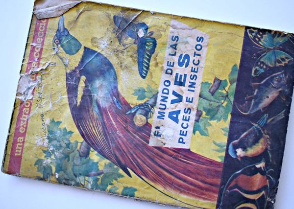 El mundo de las aves (Coda y Cía