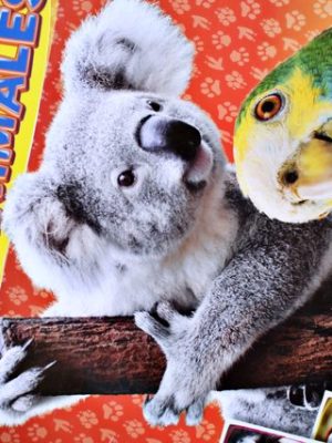 Amigos Animales (Panini, 2012): Faltan 4 Láminas