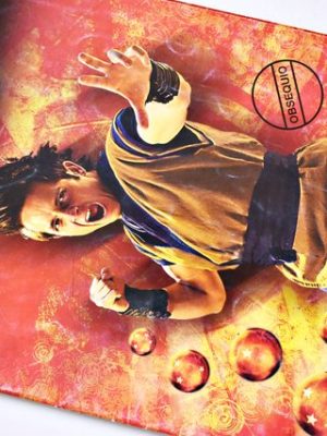 Dragon Ball Evolution (Panini, 2009): Tiene 14 Láminas