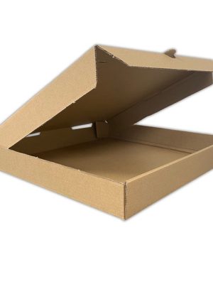 CAJA PIZZA CHICA  25x25x4  [10 UNIDADES]