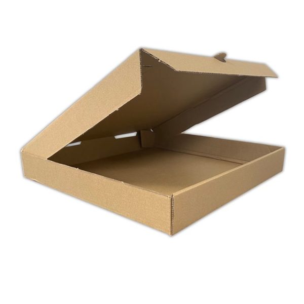 CAJA PIZZA CHICA  25x25x4  [10 UNIDADES]