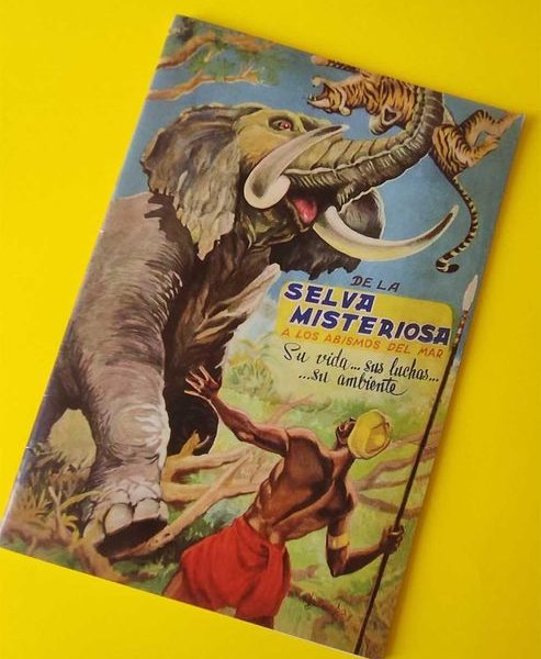 SELVA MISTERIOSA (Don Comic
