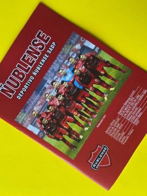 Ñublense (1916-2022) Álbum Del Club Deportivo (Don Comic, 2024): Álbum Completo (Con láminas impresas)